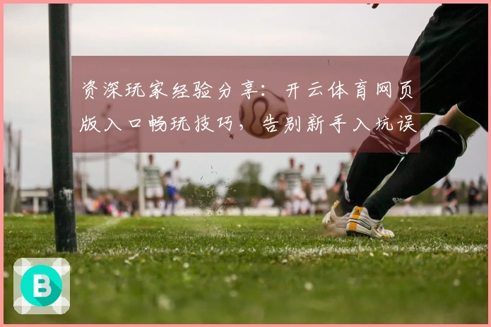资深玩家经验分享：开云体育网页版入口畅玩技巧，告别新手入坑误区
