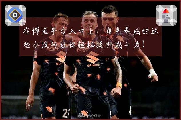 在博鱼平台入口上，角色养成的这些小技巧让你轻松提升战斗力！