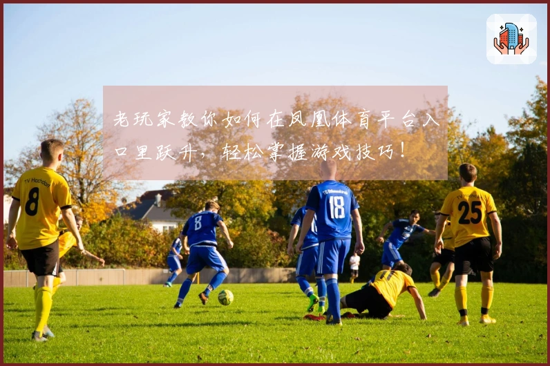 老玩家教你如何在凤凰体育平台入口里跃升，轻松掌握游戏技巧！