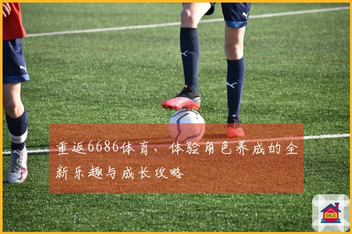 重返6686体育，体验角色养成的全新乐趣与成长攻略