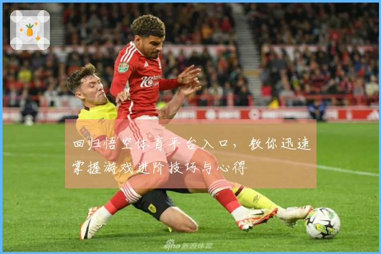 回归悟空体育平台入口，教你迅速掌握游戏进阶技巧与心得