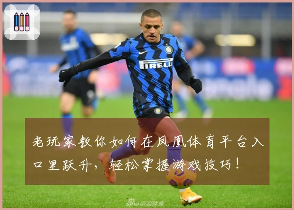 老玩家教你如何在凤凰体育平台入口里跃升,轻松掌握游戏技巧!